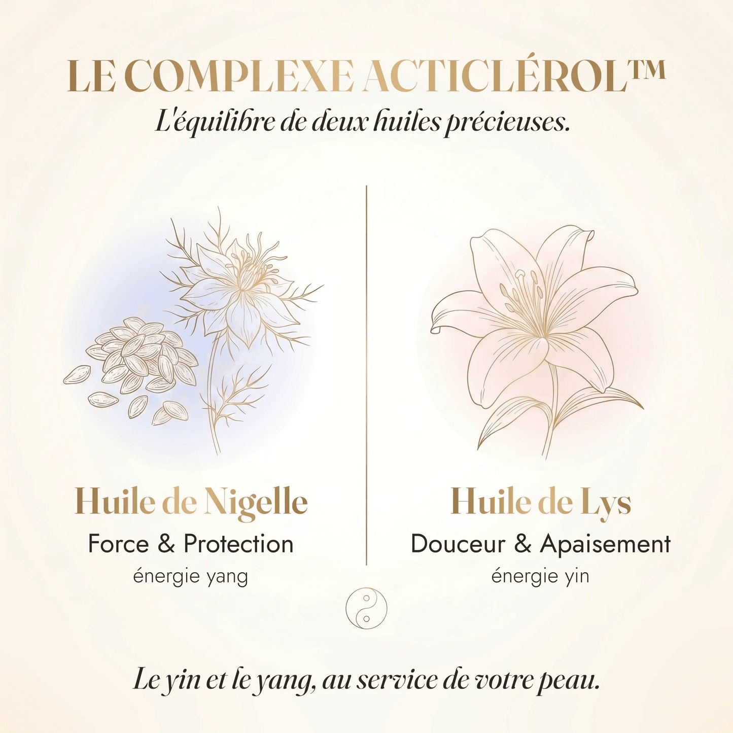 Huile Sèche Nourrissante